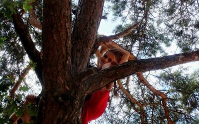 Spelen in de natuur stimuleert taalontwikkeling