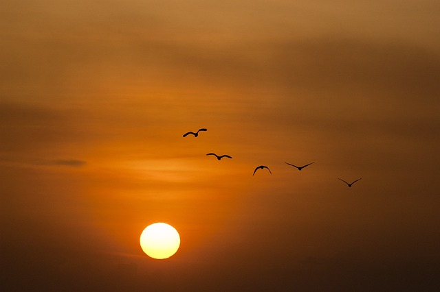 Extreme temperaturen geven risico’s voor negatieve geboorte-uitkomsten